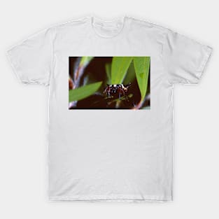 6 Horned Spider T-Shirt